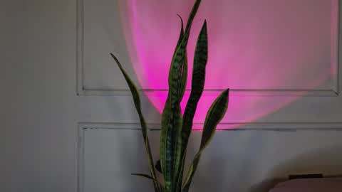 Snapshot of ice_princess__ chatting on October 3, 2025, 5:37 am Crystall online show from October 3, 2025, 5:37 am