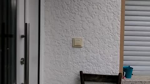 Snapshot of icheinfachich13 chatting on October 21, 2025, 8:26 am icheinfachich13 online show from October 21, 2025, 8:26 am