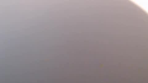 icky_thumps online show from February 2, 2026, 7:45 pm