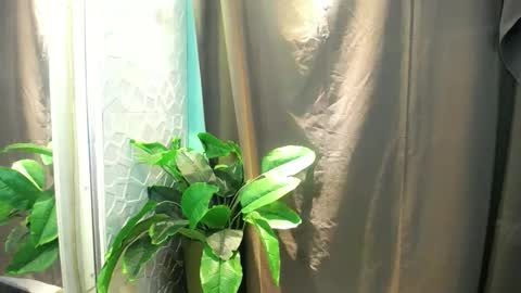 Snapshot of icy_heartxoxox chatting on February 3, 2026, 6:35 pm Heart online show from February 3, 2026, 6:35 pm