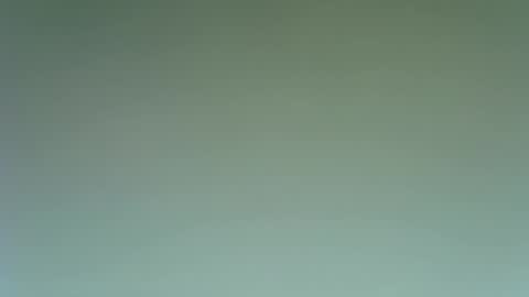 idkwhattowatch online show from December 23, 2024, 9:08 pm