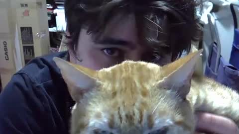 idkwhattowatch online show from December 24, 2024, 12:33 am