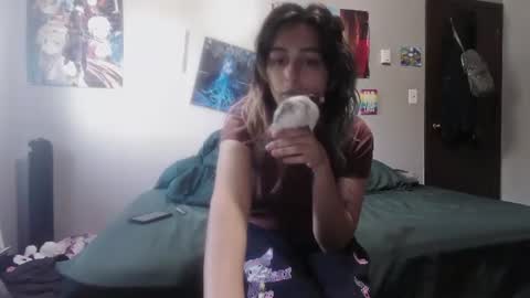 Snapshot of illlypad_lilac chatting on July 25, 2026, 8:17 pm Lilly online show from July 25, 2026, 8:17 pm