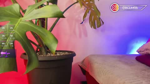 Snapshot of im_bryan chatting on February 12, 2025, 5:47 am Bryan online show from February 12, 2025, 5:47 am