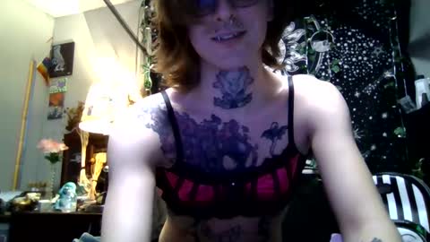 Snapshot of immascreamer chatting on February 21, 2026, 2:56 am SlyKitten online show from February 21, 2026, 2:56 am
