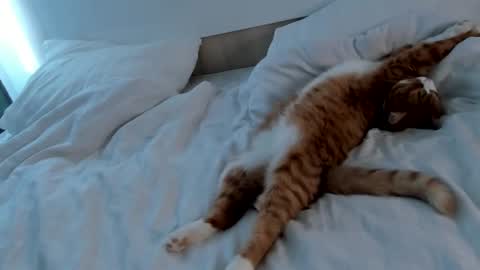 my name Imo  Fansly  online show from February 20, 2025, 9:00 am