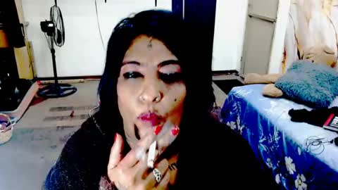 anusha online show from August 1, 2026, 2:44 am