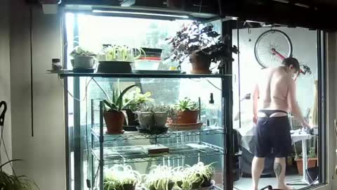 BroLOU online show from June 15, 2026, 7:38 pm