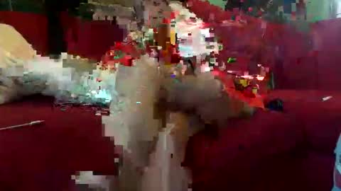 INMIRREY online show from May 8, 2026, 8:41 am