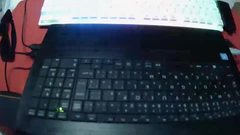 Snapshot of insulting_whoreifica chatting on December 23, 2024, 9:05 am MAXINE online show from December 23, 2024, 9:05 am