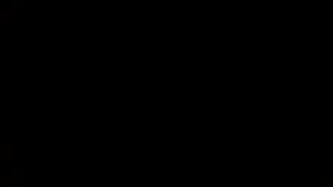 iridisit online show from January 12, 2026, 4:07 am