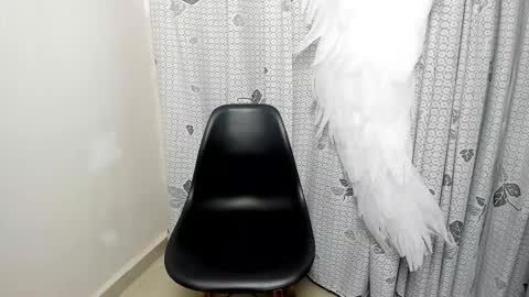 iris blomm online show from March 16, 2026, 6:12 pm