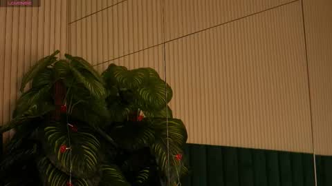 Snapshot of irisnightshade chatting on October 31, 2025, 12:55 am Maria online show from October 31, 2025, 12:55 am