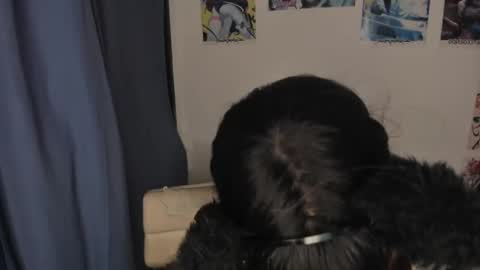 Snapshot of isabell_xstar chatting on March 3, 2025, 2:47 am isa 3 online show from March 3, 2025, 2:47 am