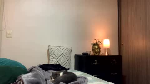 Isa online show from October 10, 2025, 12:20 am