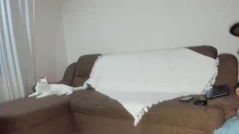 Issabelle online show from November 6, 2025, 6:25 am