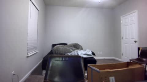 Snapshot of itstarzan chatting on December 13, 2024, 7:04 am TARZAN online show from December 13, 2024, 7:04 am