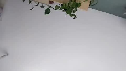 Vanchi online show from March 7, 2026, 7:16 am