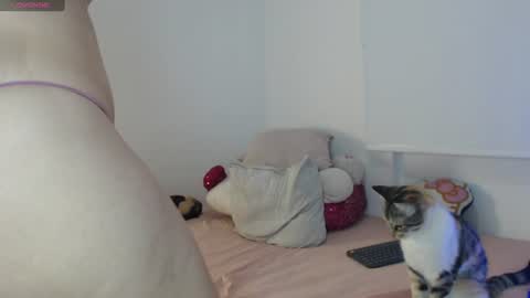 Snapshot of ivelleee_ chatting on July 26, 2026, 3:04 am Ivelle Blackwood online show from July 26, 2026, 3:04 am