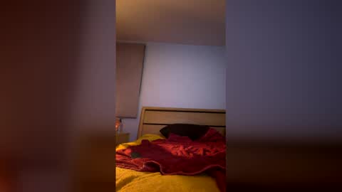 Snapshot of iwantu1230 chatting on February 13, 2026, 8:49 pm iwantu1230 online show from February 13, 2026, 8:49 pm