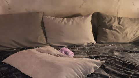 izi online show from February 19, 2025, 9:47 pm