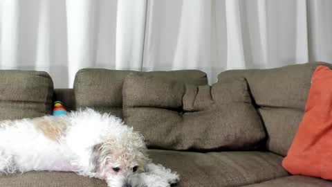 Snapshot of j_calix chatting on January 20, 2025, 5:26 am Calix Independient model Insta and twt Calixsnake online show from January 20, 2025, 5:26 am