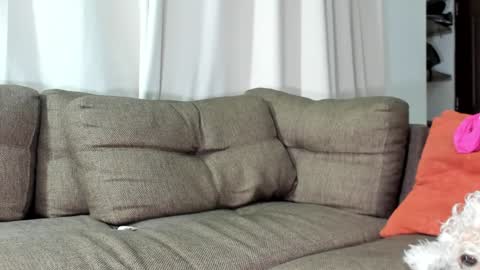 Snapshot of j_calix chatting on January 23, 2025, 5:35 am Calix Independient model Insta and twt Calixsnake online show from January 23, 2025, 5:35 am