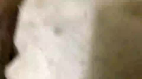 Jaaltar online show from January 8, 2026, 7:05 pm