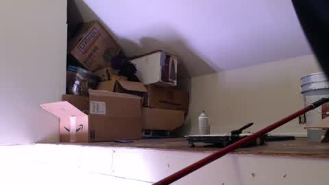 funtimes49203 online show from January 18, 2025, 1:29 pm