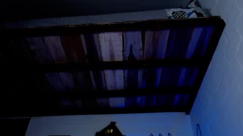 Michael Caicedo online show from March 12, 2025, 4:51 am