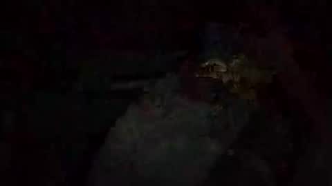 Snapshot of jacobledyit21 chatting on October 20, 2025, 2:56 am Shakey j online show from October 20, 2025, 2:56 am