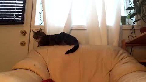 Jacob online show from February 17, 2026, 9:54 pm