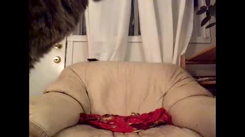 Jacob online show from March 17, 2026, 12:37 am