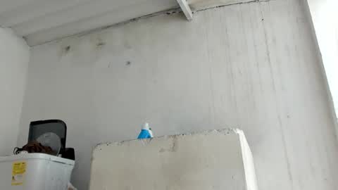 Snapshot of jadesmiith1 chatting on October 24, 2025, 5:53 pm Jade Smith online show from October 24, 2025, 5:53 pm