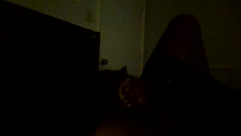 Snapshot of jamacianmehorny chatting on February 25, 2025, 11:11 pm Jamacian online show from February 25, 2025, 11:11 pm