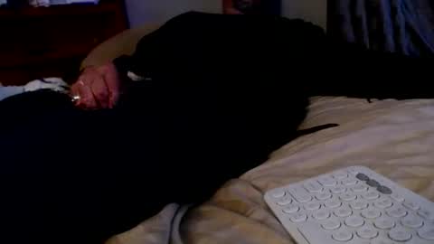 what you in too online show from December 2, 2025, 8:19 am