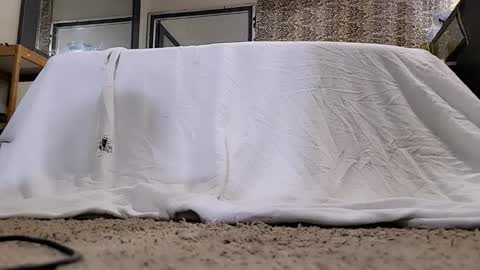 Bootyshows online show from March 12, 2026, 11:27 am