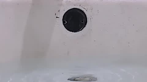 Bootyshows online show from March 15, 2026, 1:28 pm