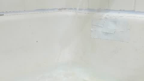 Bootyshows online show from August 4, 2026, 3:58 pm