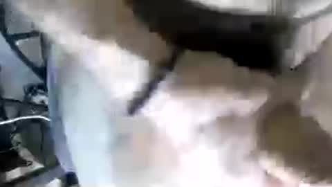 Snapshot of janecox19931 chatting on June 22, 2026, 2:25 pm janecox19931 online show from June 22, 2026, 2:25 pm