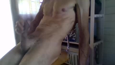Snapshot of janzibor chatting on May 26, 2026, 2:02 pm janzibor online show from May 26, 2026, 2:02 pm