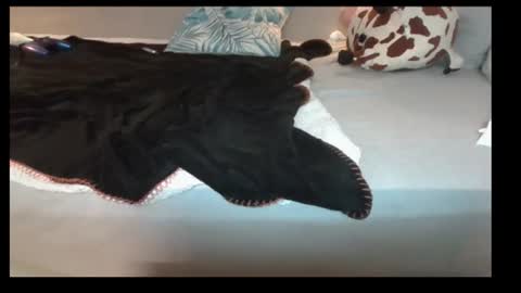 jasminandzhao online show from July 7, 2026, 7:23 am