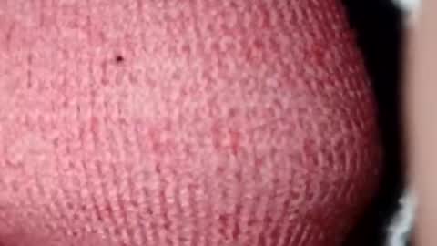 jasspreettt online show from December 28, 2024, 7:11 am