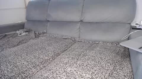 Snapshot of javierandaniel chatting on December 5, 2024, 4:01 pm Javier online show from December 5, 2024, 4:01 pm