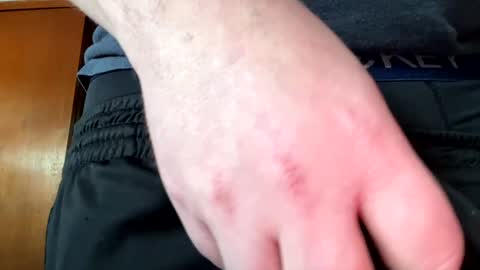 Jaws  online show from December 30, 2024, 8:04 pm