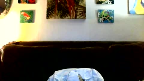 jay-jay1475 online show from July 23, 2026, 6:50 pm