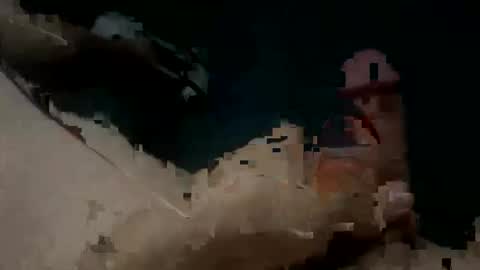 Jay Peso online show from November 18, 2025, 7:51 pm