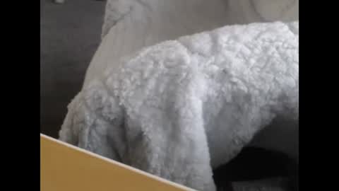 Snapshot of jayboo777 chatting on December 12, 2024, 5:04 pm sissy gurl online show from December 12, 2024, 5:04 pm