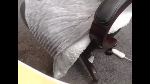 Snapshot of jayboo777 chatting on October 27, 2025, 10:14 pm sissy gurl online show from October 27, 2025, 10:14 pm