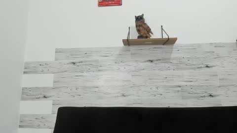 Jaycreedd online show from December 5, 2025, 4:10 am